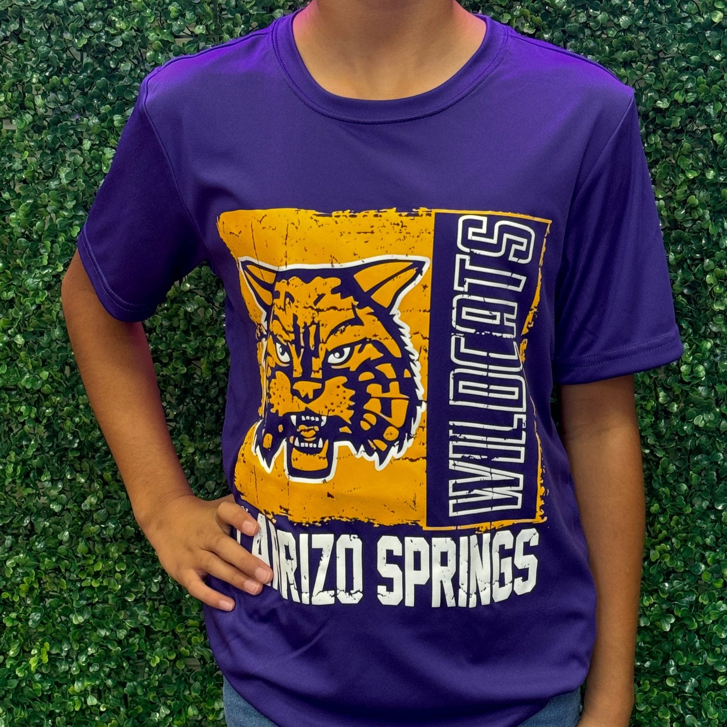 Youth Wildcat Flag Tee