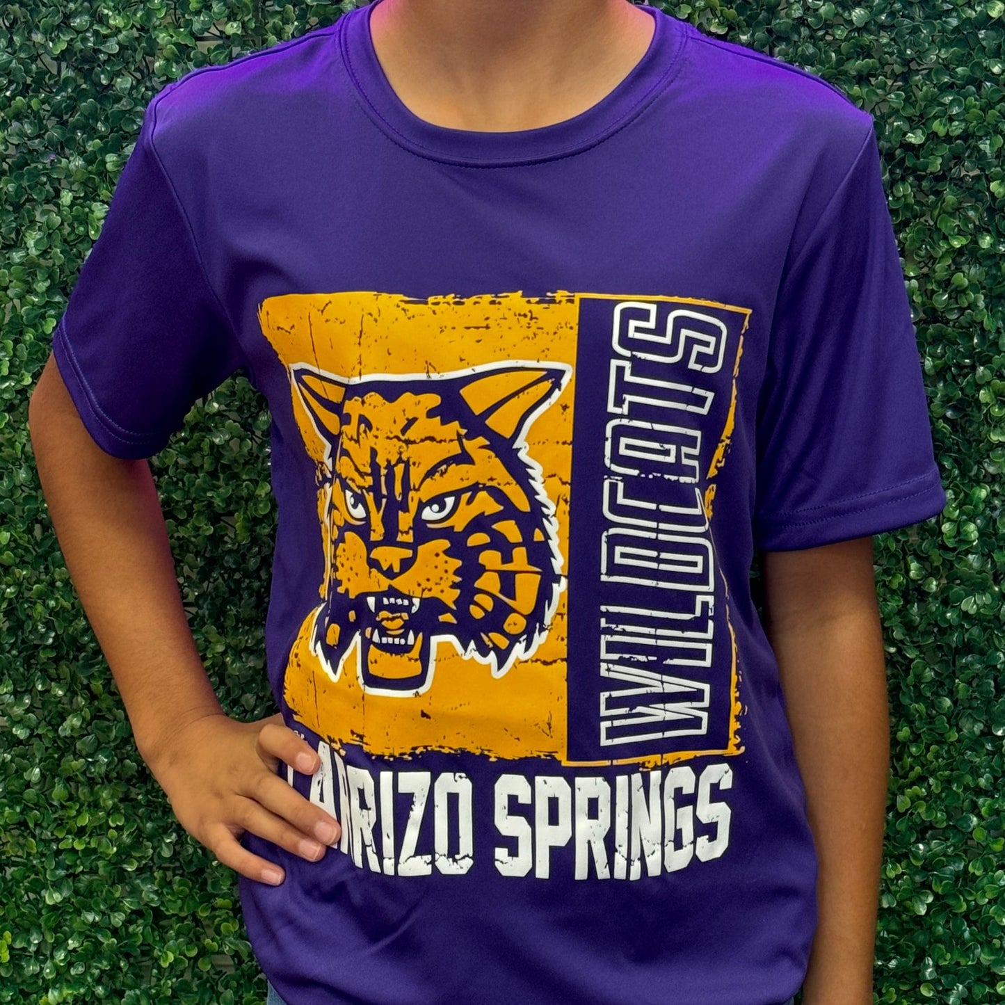 Adult Wildcat Flag Tee