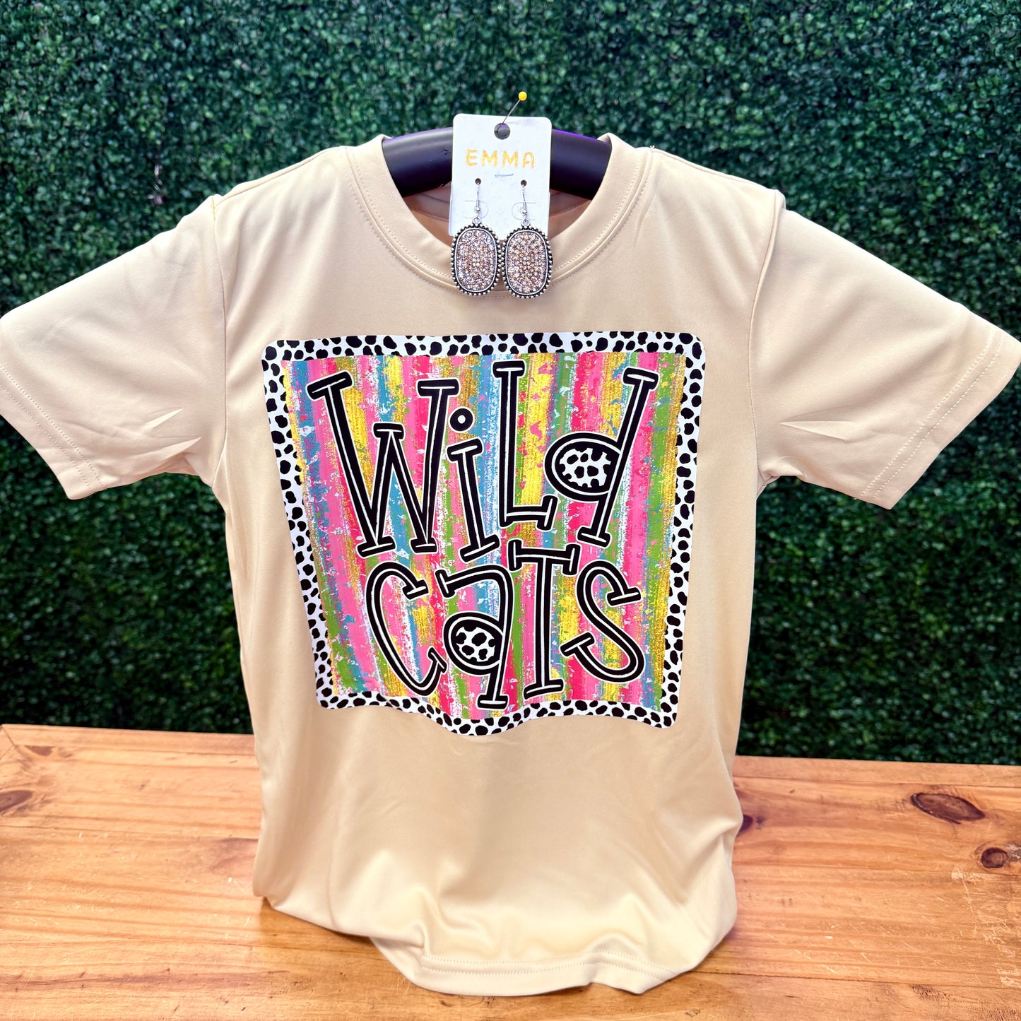 Brushstroke Wildcats