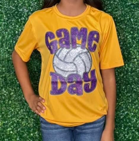 Adult Game Day Volleyball Tee