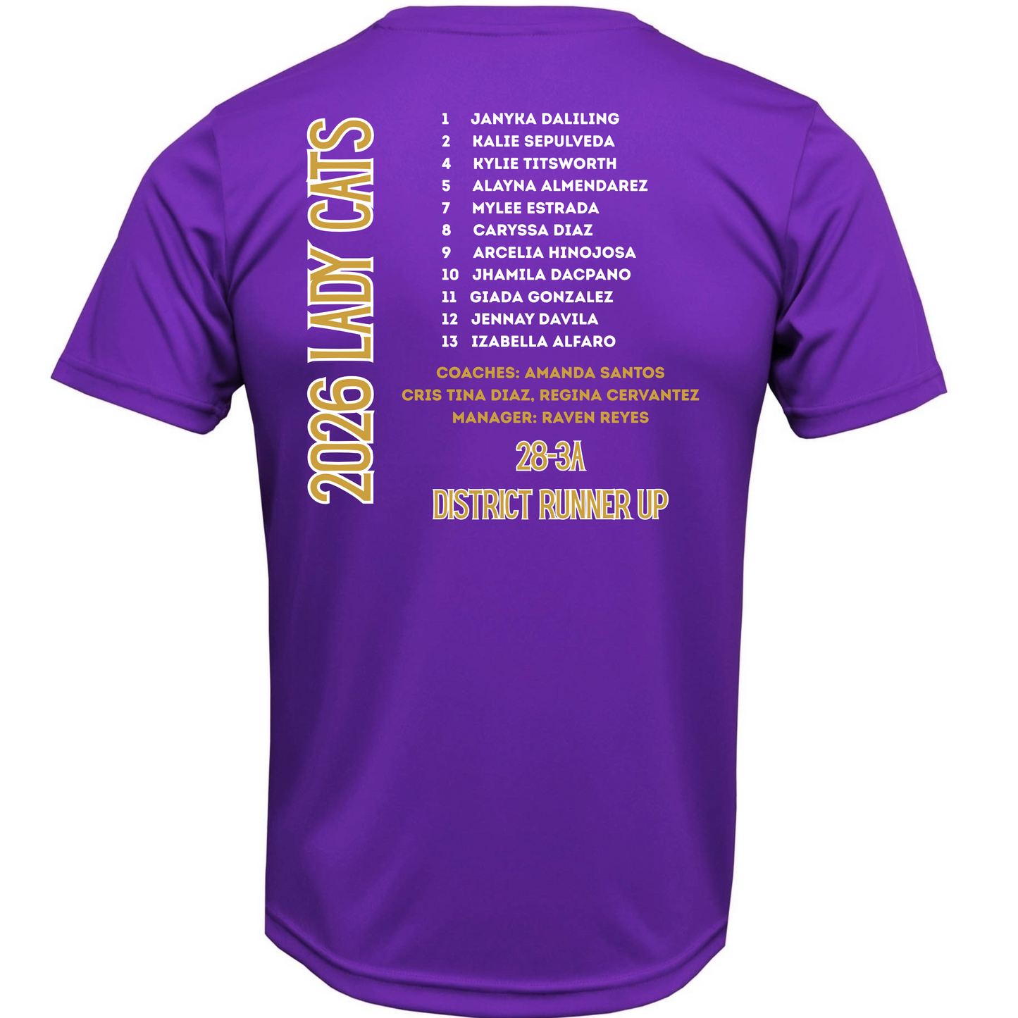 CSHS 2026 Volleyball Playoff Tee